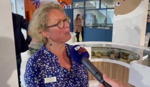 Boulogne-sur-Mer : la cheffe du projet Blue Academy Agnès Lavergne présente ses fonctionnalités