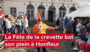 VIDEO. La Fête de la crevette bat son plein à Honfleur