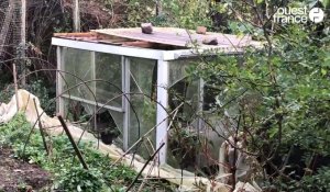 VIDÉO. « J’en aurais pleuré » : le grand jardin qu’il soigne depuis seize ans ravagé par la tempête Ciaran
