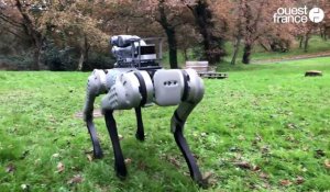 VIDÉO. À Angers, cette école d’ingénieurs a acheté un robot chien