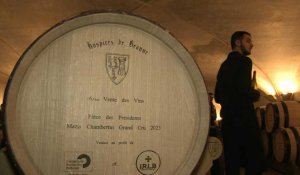 Vin: les enchères de Beaune sous les auspices de Thierry Lhermitte mais sans records