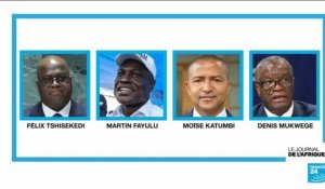 RD Congo : qui sont les 20 candidats en lice pour l'élection présidentielle ?