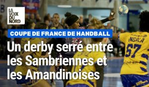 Coupe de France de Handball, le derby Sambre-Avesnois-Saint-Amand a tourné à l'avantage des Louves