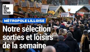 La sélection des sorties de la semaine du 27 novembre dans la métropole lilloise 