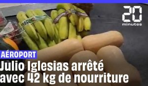 Julio Iglesias arrêté avec 42kg de nourriture à l'aéroport #shorts