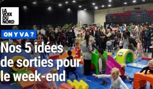 Sélection loisirs du week-end des 20 et 21 janvier dans le Nord et le Pas-de-Calais