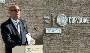 COP28: le chef de l'ONU Climat appelle les pays à lever "les blocages tactiques inutiles"