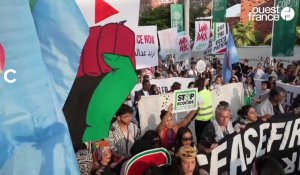 VIDEO. Des centaines de manifestants défilent à Dubaï pour Gaza et la justice climatique