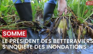 Fabien Hamot, président des betteraviers de la Somme, s'inquiète des conséquences des inondations