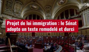 VIDÉO.Projet de loi immigration : le Sénat adopte un texte remodelé et durci
