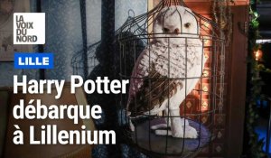 Lille : Harry Potter ensorcelle Lillenium