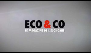 Éco & co - Laurent Le Mercier