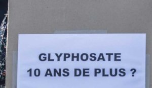  Glyphosate : La Commission européenne vote le retour de l’herbicide pour 10 ans #shorts