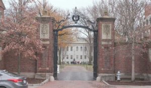 Des centaines de professeurs s'opposent aux appels à la démission de la présidente d'Harvard