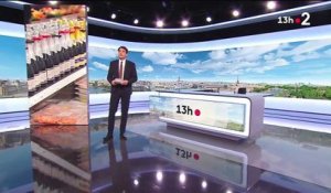 Julian Bugier en mauvaise posture en plein direct sur France 2