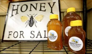 Les eurodéputés demandent un étiquetage plus clair du miel afin d'enrayer les fraudes
