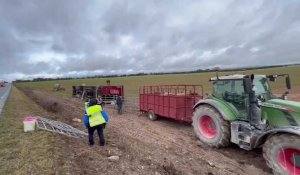 Un engin agricole transportant des vaches se renverse à La Cheppe