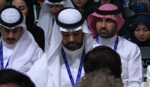COP28: l'Arabie saoudite exprime sa "gratitude" après l'accord aux Emirats
