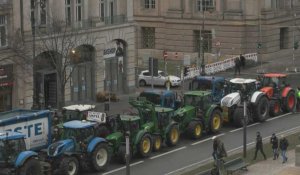 Les agriculteurs allemands arrivent à Berlin pour une grande manifestation
