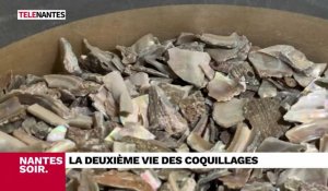 VIDEO. Le JT du 15 janvier : commune cherche coiffeur et les huîtres à nouveau autorisées