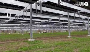 VIDÉO. Plus de 5 500 panneaux solaires ont été installés chez cet éleveur bovin normand