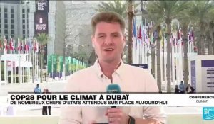 COP28 à Dubaï : de nombreux chefs d'État sont attendus sur place