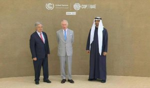 Le roi Charles III arrive à la COP28 à Dubaï