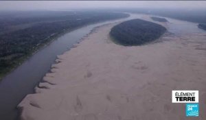 COP28 : Brésil, sécheresse en Amazonie