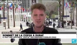 Sommet de la COP28 à Dubaï : "il faut sortir des énergies fossiles" selon l'ONU