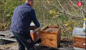 Tarn. L'apiculture en crise