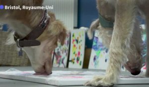 Des chiens abandonnés se font artistes-peintres pour une association caritative britannique