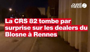 VIDEO. La CRS 82 intervient dans le quartier du Blosne à Rennes