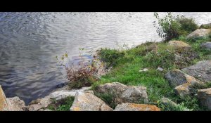 Les eaux de l'Aude potentiellement polluées à Limoux