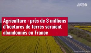 VIDÉO. Agriculture : près de 3 millions d’hectares de terres seraient abandonnés en France