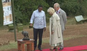 Charles III et Camilla visitent un site historique de destruction d'ivoire