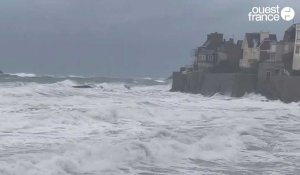VIDÉO. Chutes d'arbres, mer agitée: la tempête Ciaran a secoué Saint-Malo