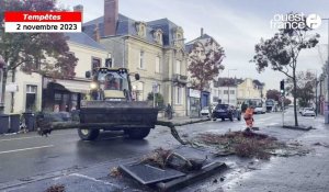 VIDÉO. Tempête Ciaran : de nombreuses chutes d’arbres à Laval 