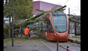 VIDÉO. Tempête Ciaran : un arbre tombe sur une rame de tramway, au Mans