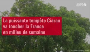 VIDÉO. La puissante tempête Ciaran va toucher la France en milieu de semaine prochaine