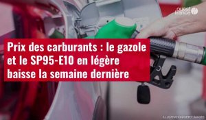 VIDÉO. Prix des carburants : le gazole et le SP95-E10 en légère baisse la semaine dernière