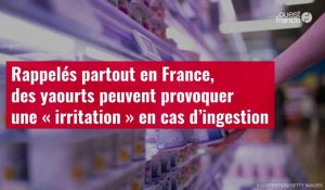 VIDÉO. Rappelés partout en France, des yaourts peuvent provoquer une « irritation » en cas d'ingestion