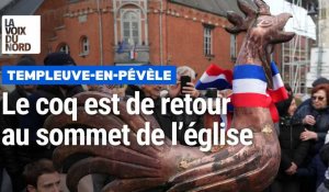 Templeuve-en-Pévèle : le coq trône à nouveau en haut de l’église !