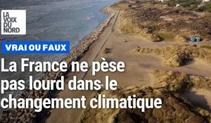 Fake news climat : la France n'est qu'une aiguille dans une botte de foin