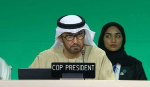 Le président de la COP28 appelle les pays à "trouver un terrain d'entente"