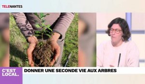 C'est Local : ils donnent une seconde vie aux arbres