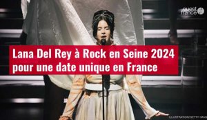 VIDÉO. Lana Del Rey à Rock en Seine 2024 pour une date unique en France