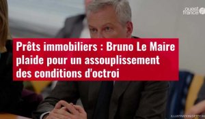 VIDÉO. Prêts immobiliers : Bruno Le Maire plaide pour un assouplissement des conditions d'octroi