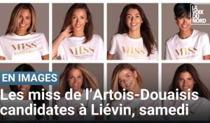 Élection de Miss Nord - Pas-de-Calais : zoom sur les candidates de l'Artois-Douaisis