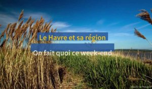 Au Havre et dans sa région, on fait quoi ce week-end du 14 et 15 octobre ?