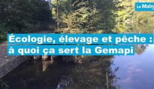 VIDÉO. Écologie, élevage et pêche : à quoi sert la "Gemapi"